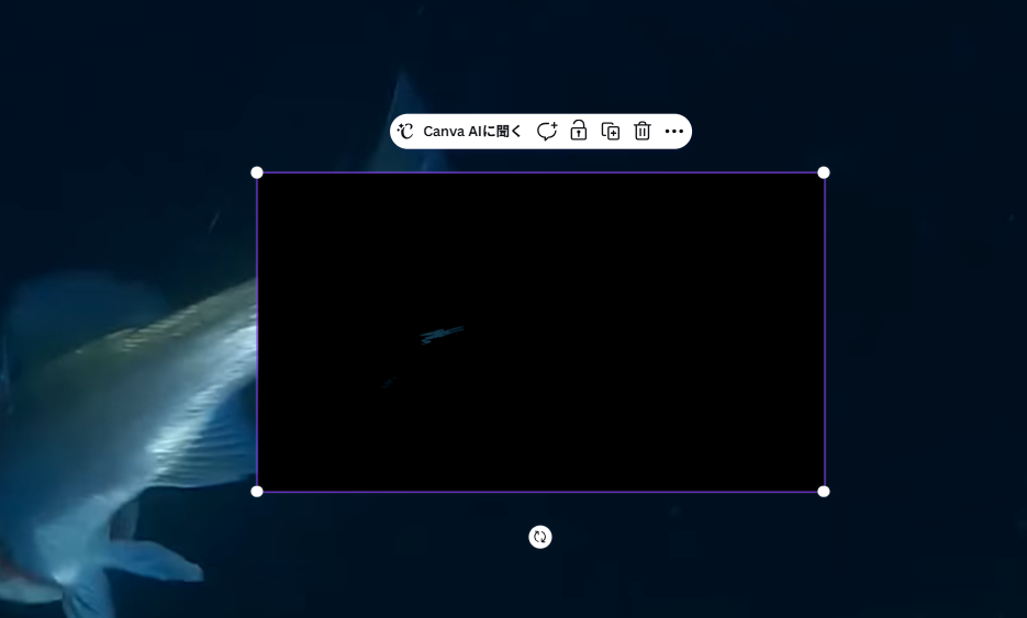 Canva Tracerでモノクロモードでトレースした結果、写真が暗すぎてほぼ何も検出されなかった画像